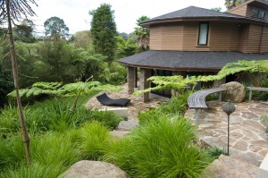looking down at the house with palms