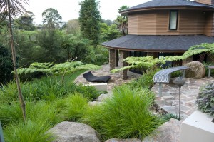 palm garden back yard