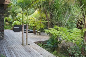 palms coming up through the deck