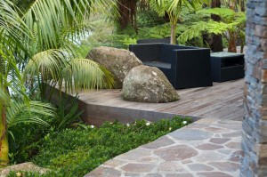 plants and palms next to deck