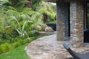 view of backyard and palms