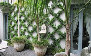 projects-palm garden