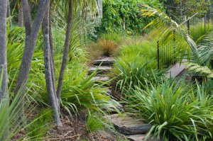 back yard with palms either side of a path