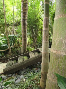palms