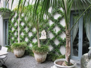 palms at front door