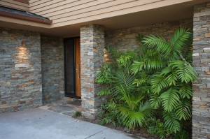 palms by front door