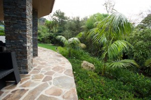 palms planted by the deck of the house