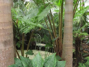 palms with chair