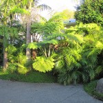 view of back yard