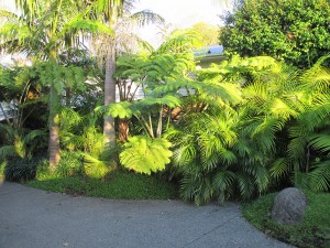 view of back yard
